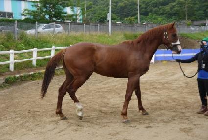 ������ ����