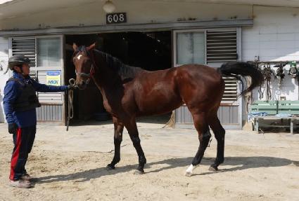 �������ͽ� ����