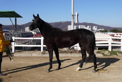 �帲�̽� ����