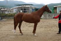 ����Ű (JANGSAN ROCKY) ����