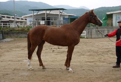 ����Ű ����