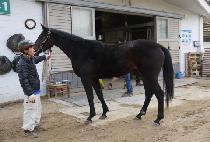 �ݴ��� (GEUMDANJI) ����