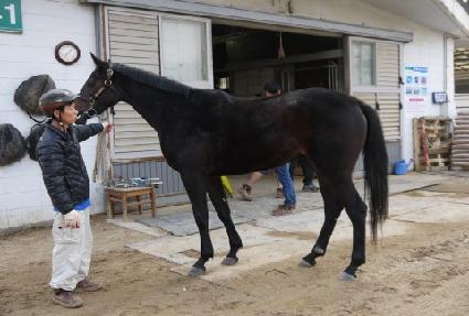 �ݴ��� ����