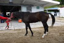 ���������ϵ� (INTO THE WILD) ����