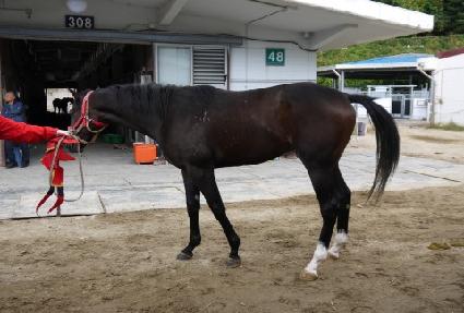 ���������ϵ� ����