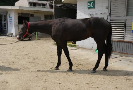 ����Ʈ���� ����