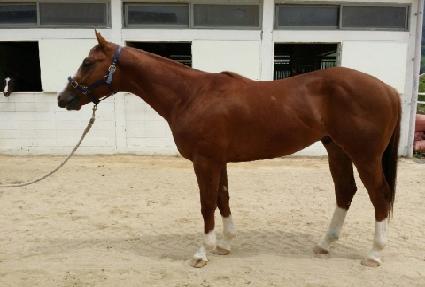 ������ĸƾ ����