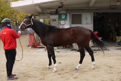 �����Ҳ� ����