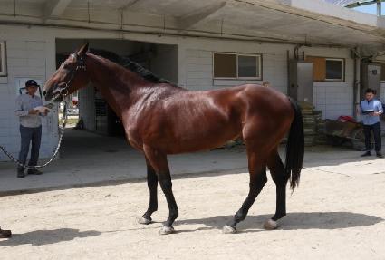 ������� ����