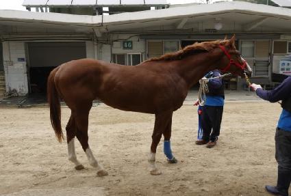 ȯ���ǵ��� ����