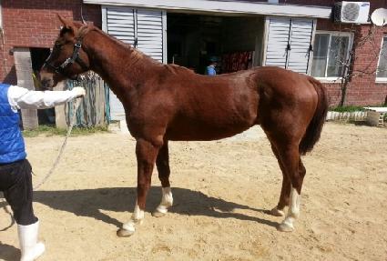 ȭ������� ����