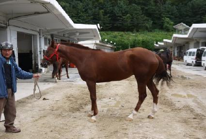 �ָ���� ����