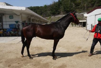 ������ ����