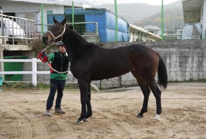 ��Ƽ������ ����