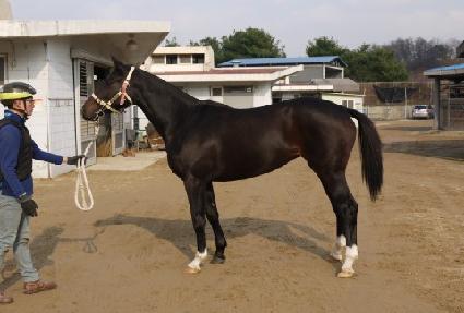 ��ȣ���� ����