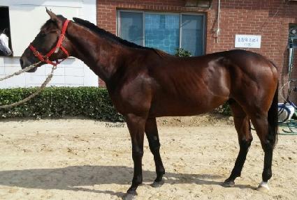 �����̿� ����