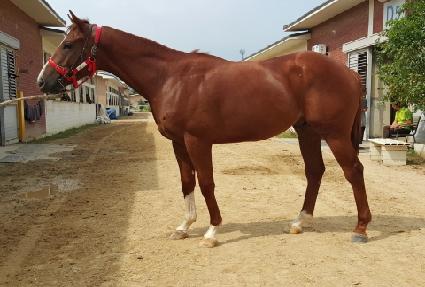 �������� ����