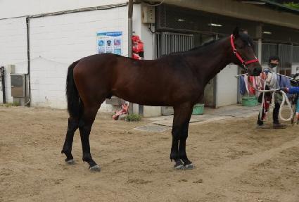 �����Ǳ׳� ����