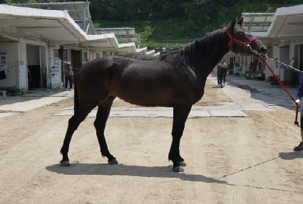 ���絹ǳ ����