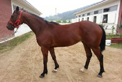 ����Ÿ�� ����