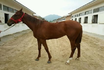 ������� ����