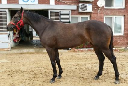 ��װ��� ����