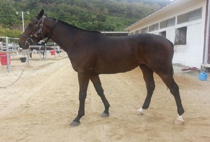 �������� ����