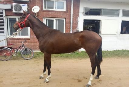 ȯ������Ʈ�� ����