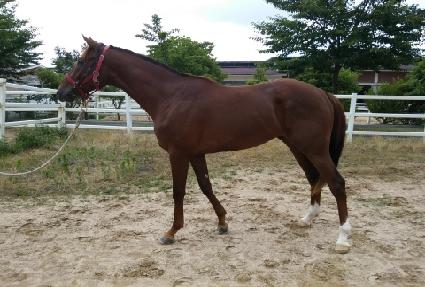 ���ֿ� ����