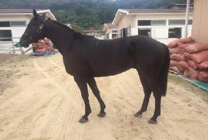 �����̺����� ����