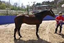 ��ȣõ�� (GANGHO CHEONNYEON) ����