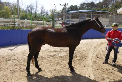 ��ȣõ�� ����