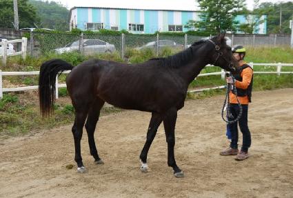 ������ ����