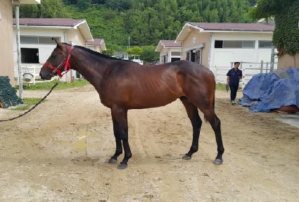 ����Ʈŷ ����