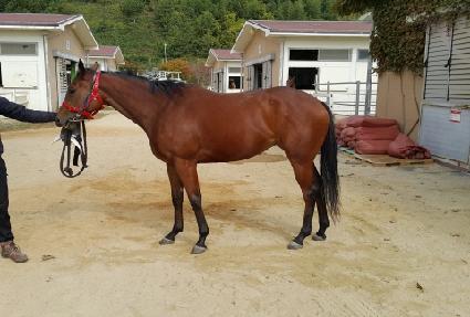 ���̵�� ����