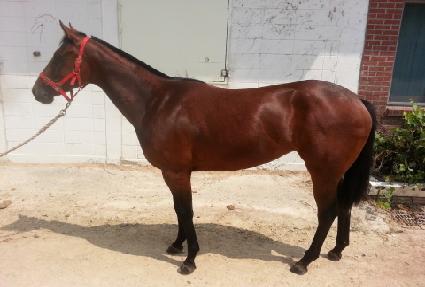 ��Ʈ���޸� ����