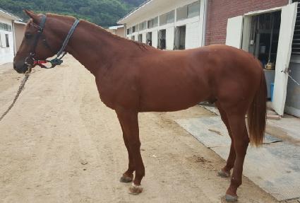 ������ ����