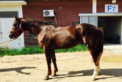 ���������丮 ����