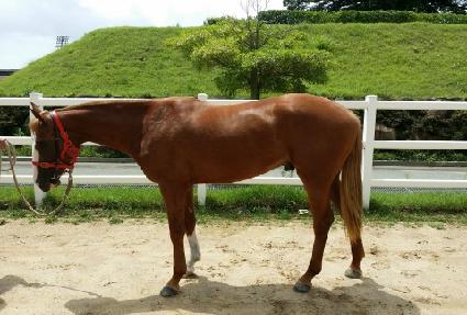 ����Ʈ��ũ ����