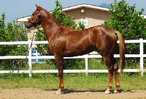 ���Ǳ� (HAPPY GOOD) ����