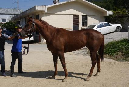 ��ũ�ڹ� ����