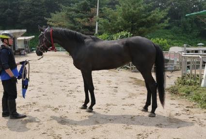 �޴Ͻ�Ÿ ����