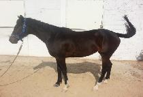 ����ũ����� (TAKE AGAIN) ����