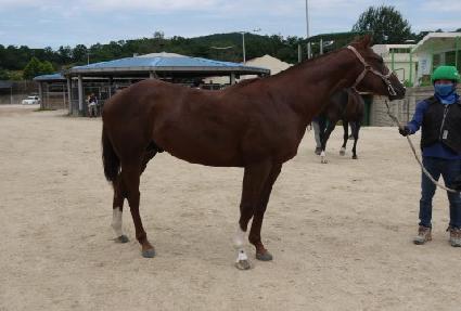 �Ĺ��÷θ��� ����