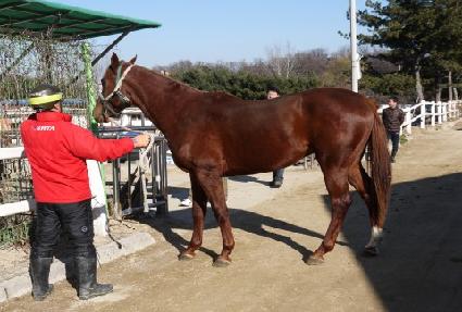 �̶�Ŭ�� ����