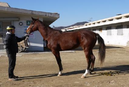 �̶�Ŭ���� ����