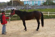 �˶� (GEOMNAN) ����