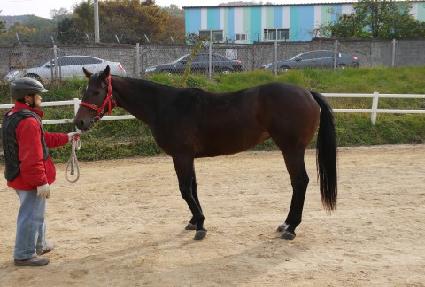 �˶� ����