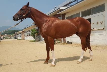 �������� ����