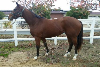 �Ŷ��ǿ��� ����